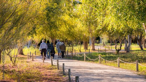 Familias y gente pasando por un camino en un bonito parque.