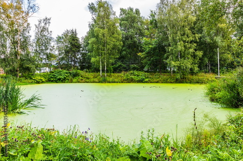 an abandoned swampy pond overgrown with green mud photo