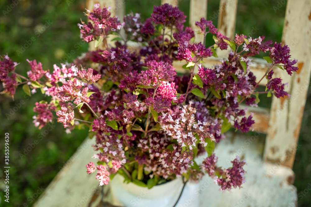 Obraz premium Fresh blooming oregano twigs