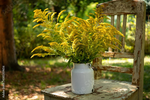 Tableau sur toile Canadian goldenrod in a white can, outdoors