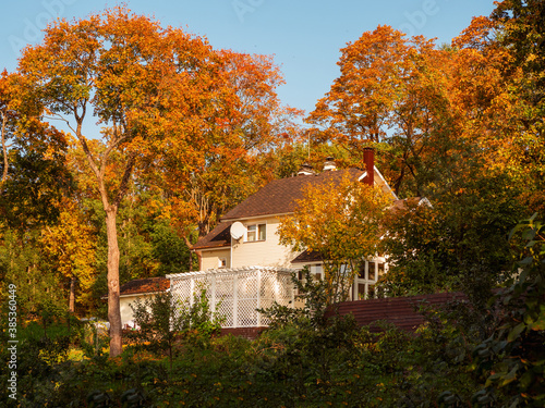 The rural hinterland in the fall. A large tree above the cottage. The concept of happy village life.