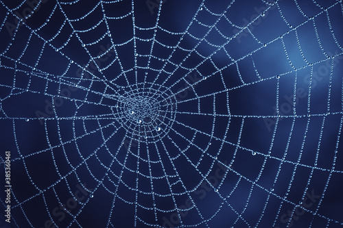 Photo of Cobweb with Water Droplets in Nature. Natural Darkblue Background with Pure Transparent Dew Drops on Spiderweb.