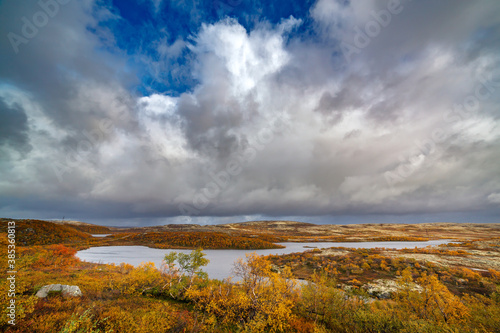 View of the tundra space with vegetation in the autumn. The far north in Russia.