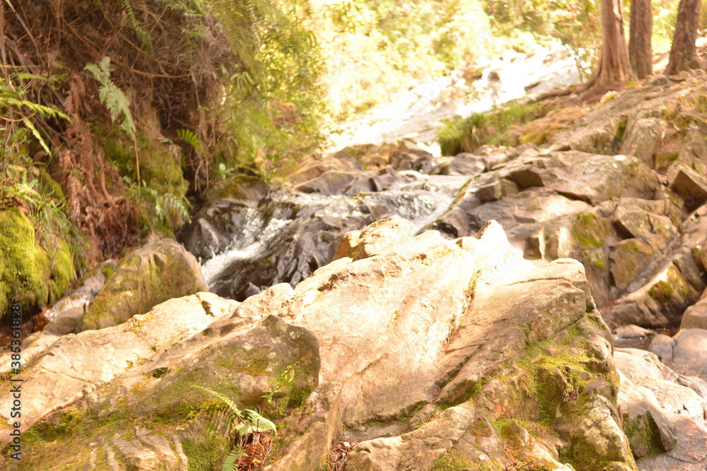 waterfall, water, river, nature, stream, landscape, forest, rock, mountain, stone, cascade, creek, green, rocks, flowing, summer, spring, flow, tree, brook, natural, fall, environment, outdoor, beauti waterfall, water, river, nature, stream, landscape, forest, rock, mountain, stone, cascade, creek, green, rocks, flowing, summer, spring, flow, tree, brook, natural, fall, environment, outdoor, beauti