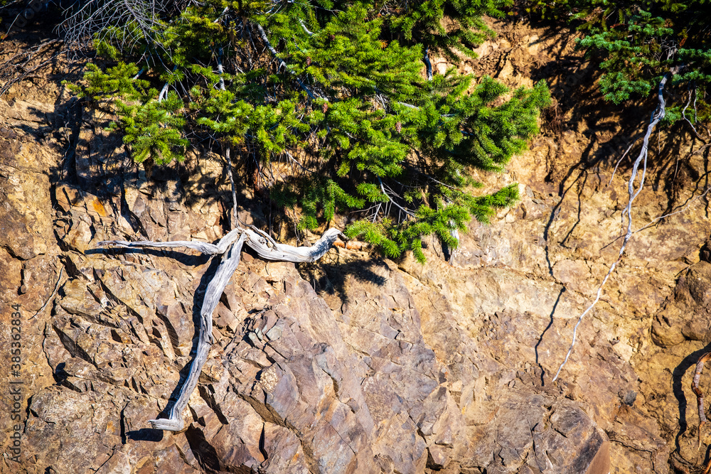 Wood on side of mountain