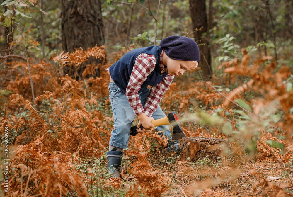 Little boy in the autumn forest. A boy with an ax near a tree. Woodcutter hold ax. Standing in the forest with axe. Little boy in the autumn forest. A boy with an ax near a tree. Woodcutter hold ax. Standing in the forest with axe.
