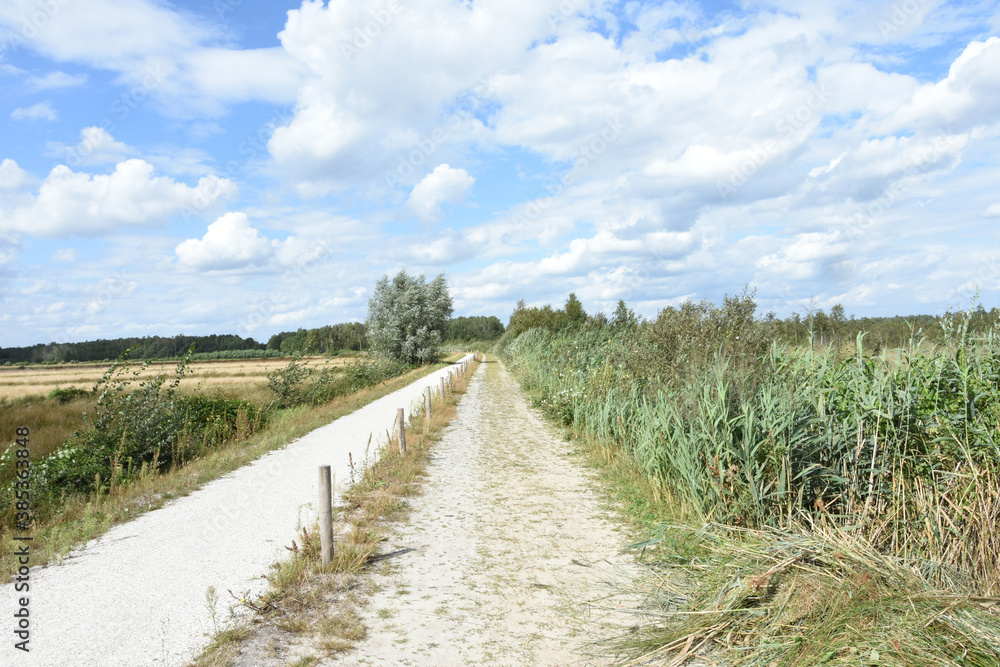 road and biking path in nature area De Groote Peel