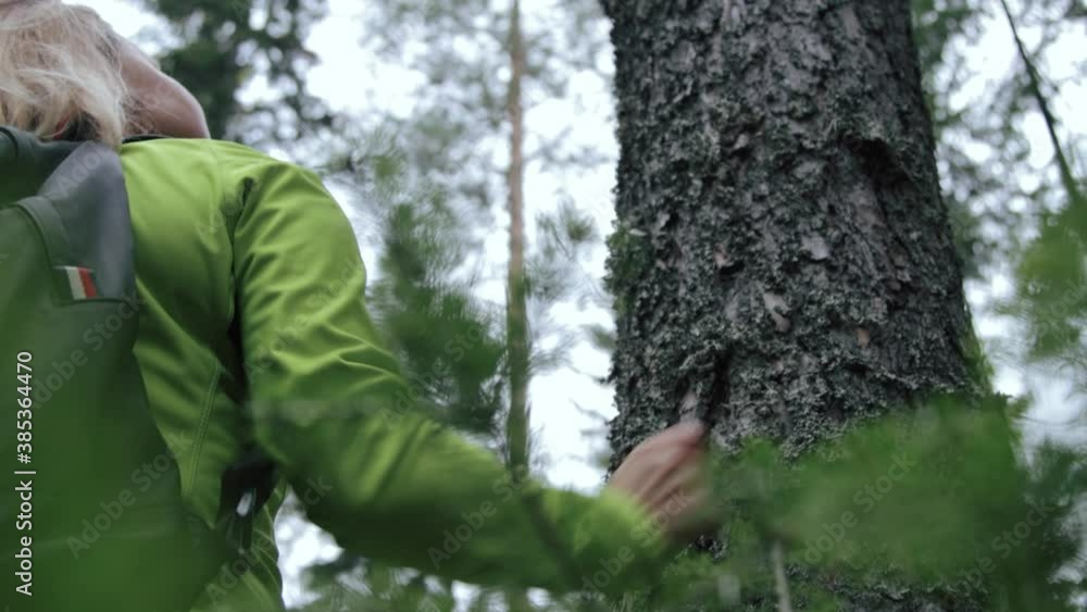 Woman stroking fir tree in forest Woman stroking fir tree in forest