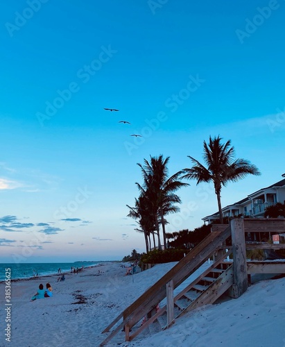 Fototapeta Naklejka Na Ścianę i Meble -  beach with palm trees and birds