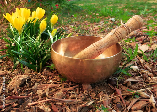 Singing bowl placed on the ground in the nature near the crocus flowers