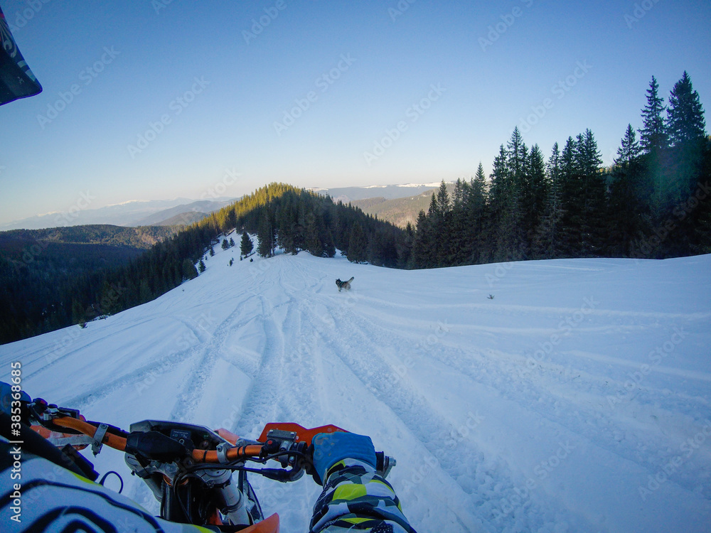 A man rides a snowbike in the mountains. View from the camera on the helmet. Motorcycle clips. Forest in winter