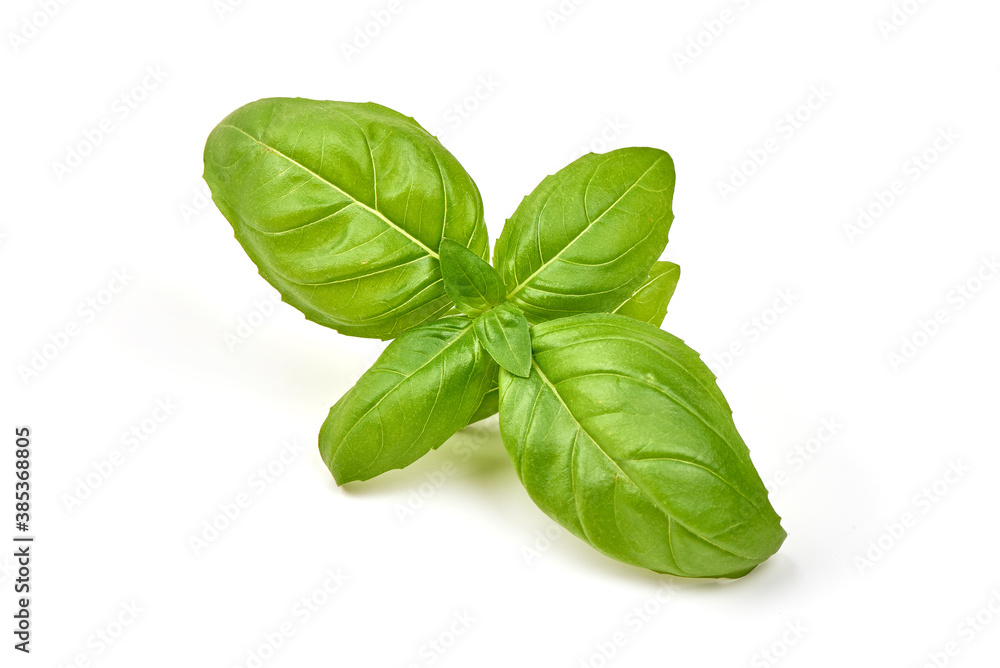 Sweet basil herb leaves, isolated on white background Sweet basil herb leaves, isolated on white background