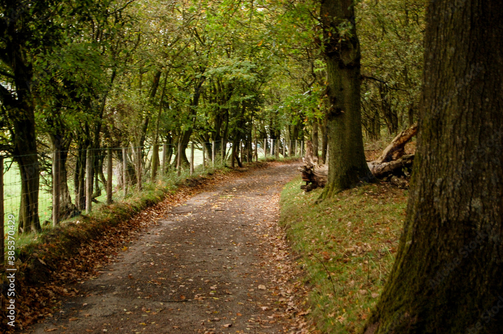 Country side of the tiny village near to the border between Wales and England. Fall season it's perfect for this beautiful place. 