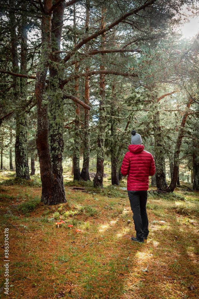 A man watches the forest around him as the sun's rays penetrate the branches on a cold autumn afternoon. A man watches the forest around him as the sun's rays penetrate the branches on a cold autumn afternoon.