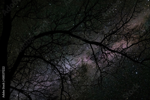 An eerie  moody night time shot of the milky way with a tree in the foreground featuring no leaves in the late fall season. Halloween  spooky themed. 