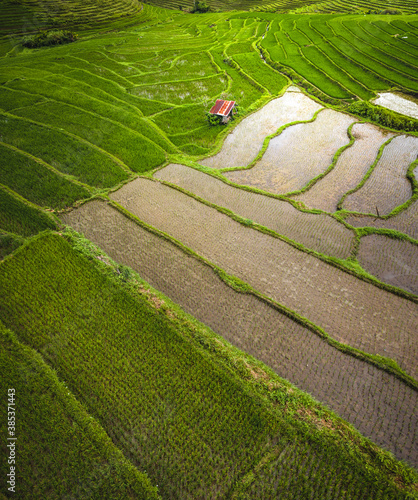 Aerial view of paddy rice fields in Guindulman region, the Philippines. photo