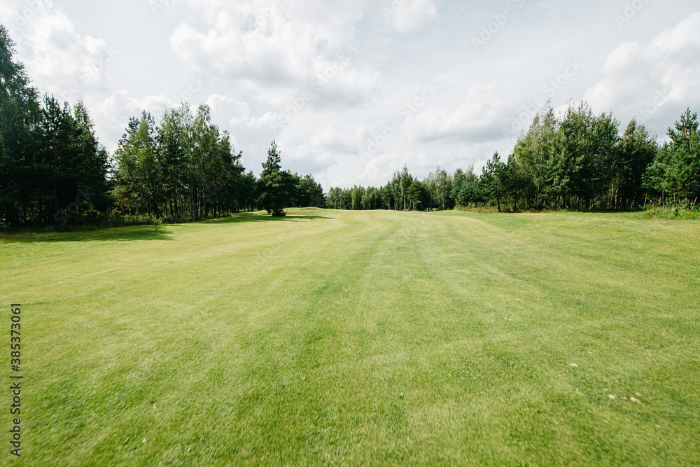 a beautiful flat green field against the background of a forest and a blue sky a beautiful flat green field against the background of a forest and a blue sky