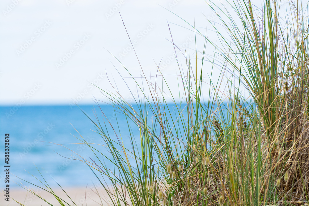 Fototapeta premium à la plage