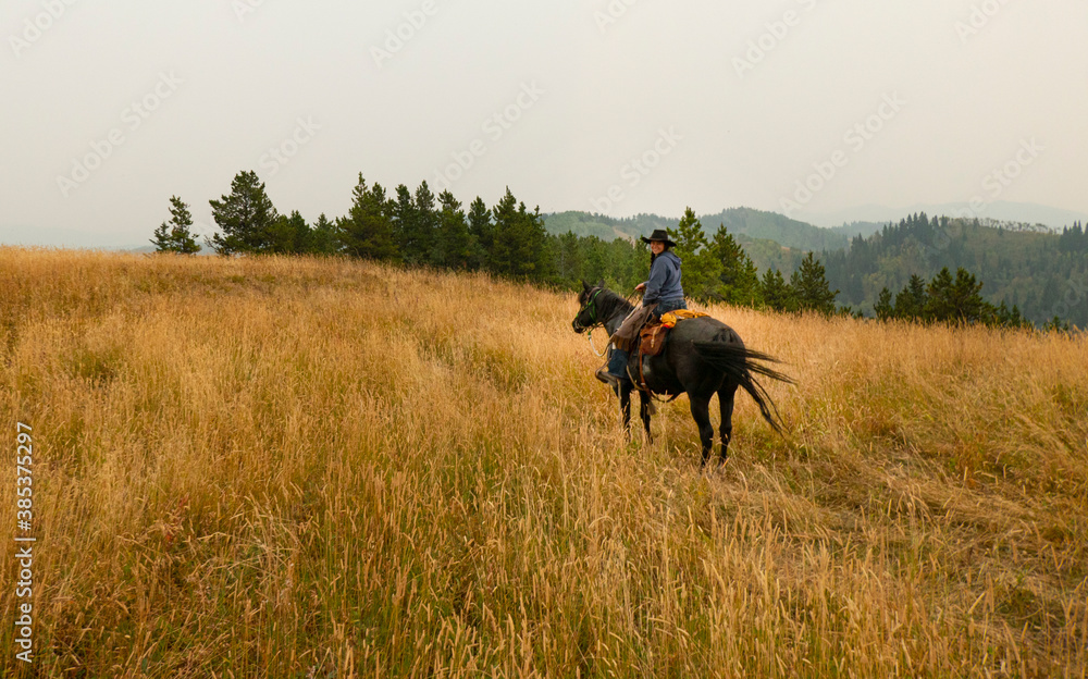 Fototapeta premium person riding a horse in the mountains