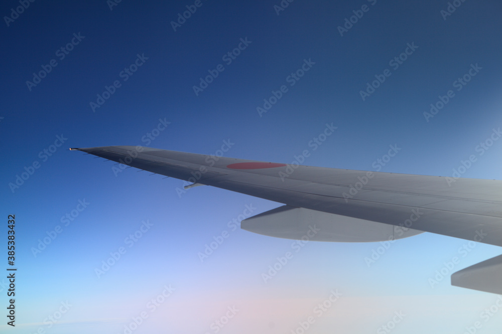Obraz premium 飛行機の羽