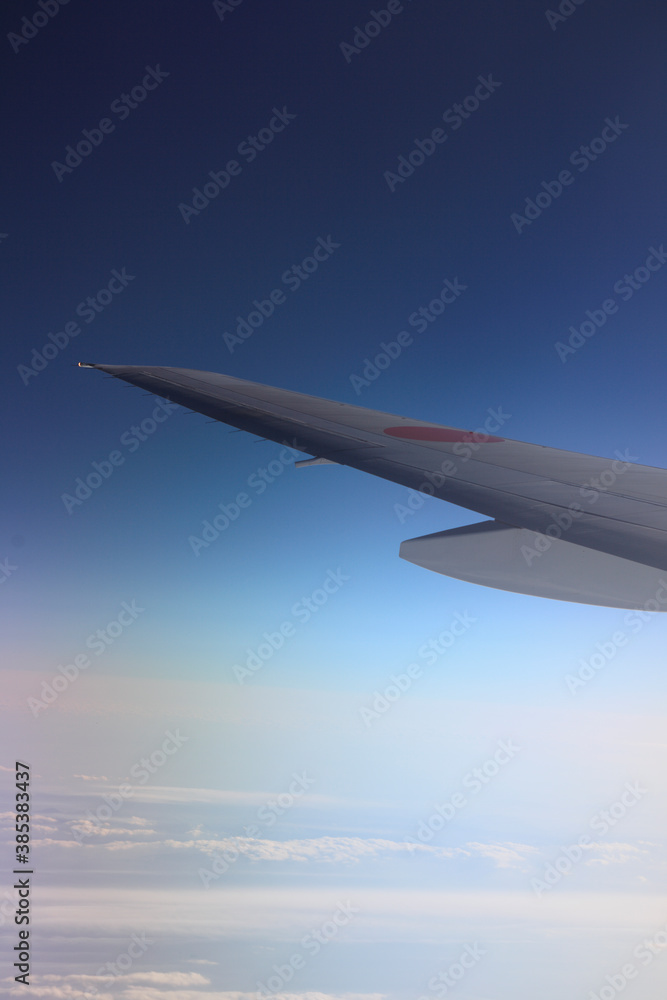 Obraz premium 飛行機の羽