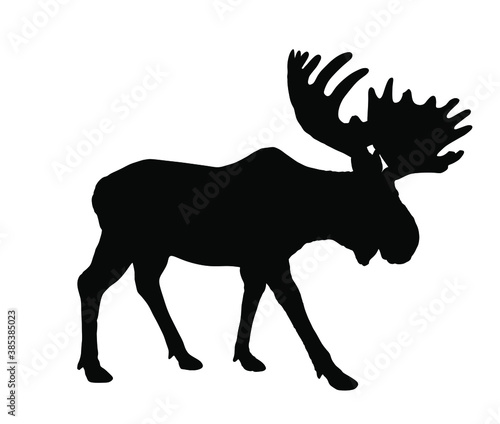 Moose vector silhouette illustration isolated on white background. Elk silhouette. Powerful deer with huge antlers symbol.