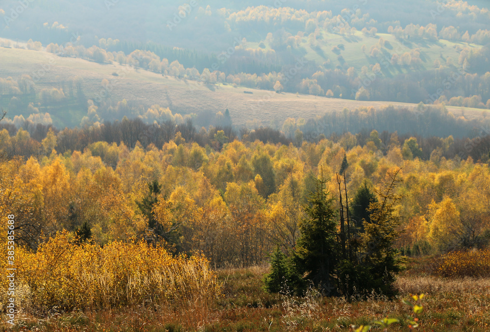 Fototapeta premium polskie góry, Bieszczady