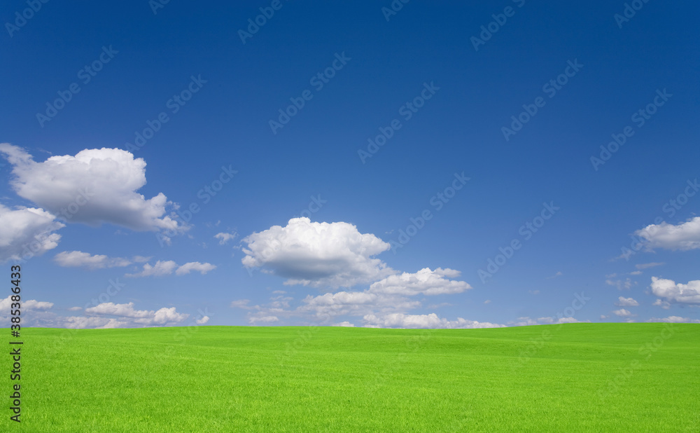 緑の草原と雲