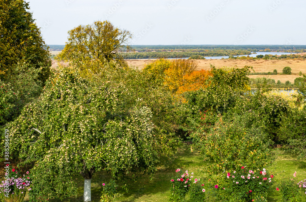 Autumn apple orchard. Countryside view with trees, fields and a river in rich golden and green colors.