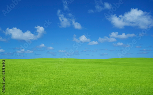 緑の草原と雲 © Paylessimages