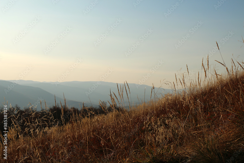 Fototapeta premium polskie góry, Bieszczady
