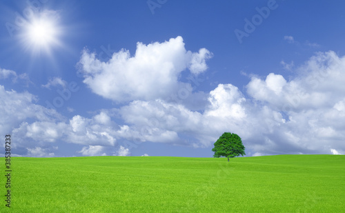 草原の一本木と雲と太陽