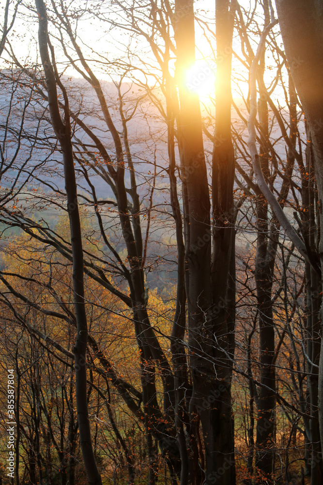 polskie góry, Bieszczady polskie góry, Bieszczady