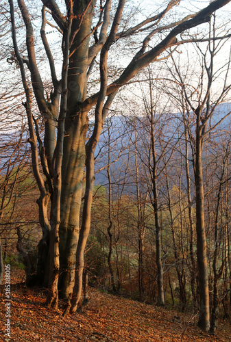polskie góry, Bieszczady