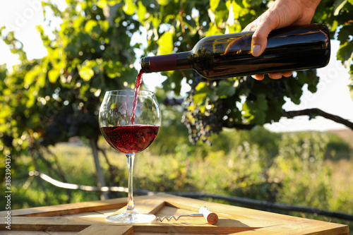 Man pouring wine from bottle into glass in vineyard, closeup