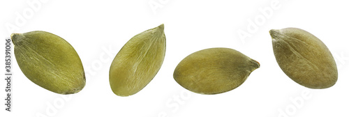 Wallpaper Mural Set of pumpkin seeds on white background. Banner design Torontodigital.ca