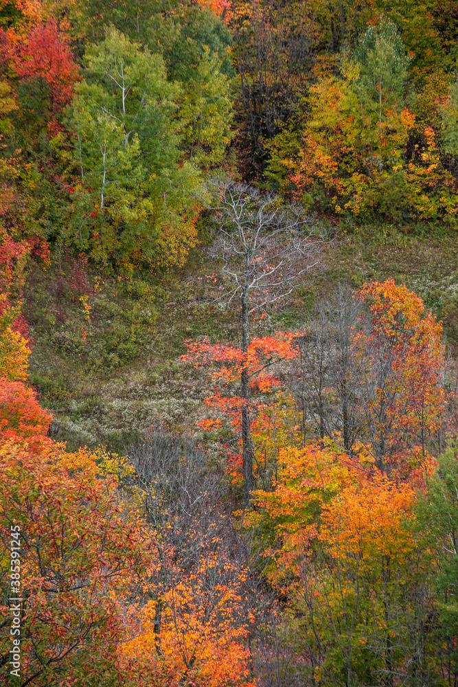 Aerial view of colorful autumn trees from Copper peak in Michigan upper peninsula Aerial view of colorful autumn trees from Copper peak in Michigan upper peninsula