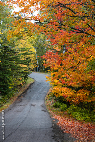 Colorful autumn trees along Brock way mountain drive in Michigan upper peninsula