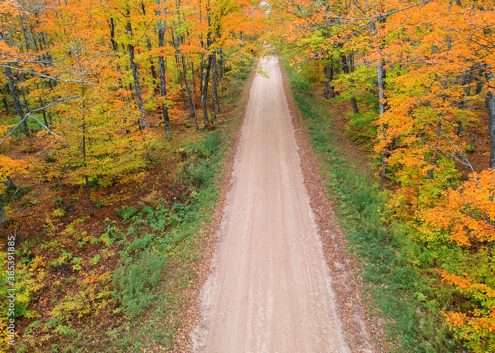 Aerial view of forest road surrounded with fall foliage in Pictured rocks area in Michigan upper peninsula