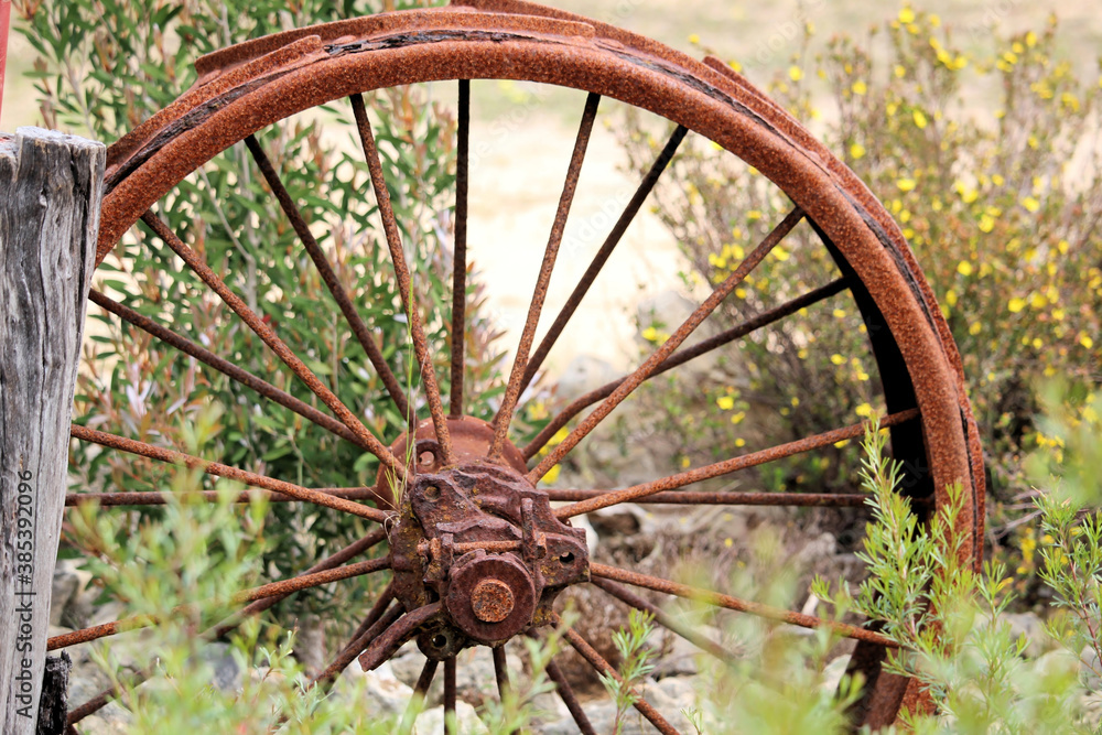 Old farm implement wheel in Australian bush garden