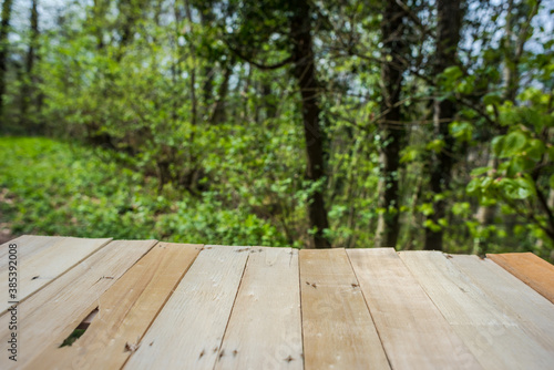 Springtime Table With Fresh And Green Leaves With Blurred Natural Forest Background