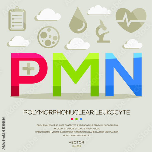 PMN mean (polymorphonuclear leukocyte) medical acronyms ,letters and icons ,Vector illustration.
 photo