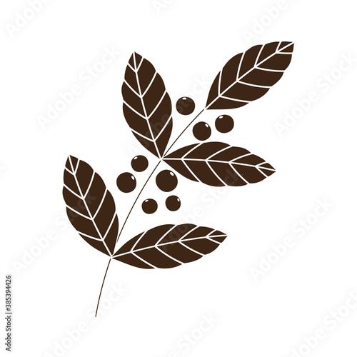 coffee seeds branch foliage nature silhouette icon style