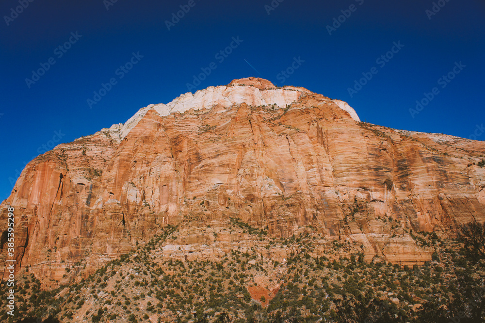 Fototapeta premium Winter in Zion National Park, Utah