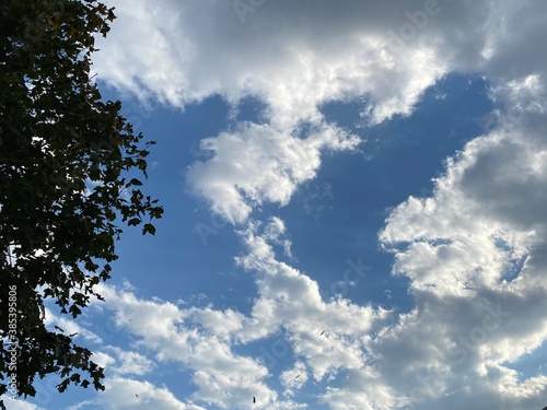 clouds in the blue sky, landscape ,cloudscape © PraX/4k