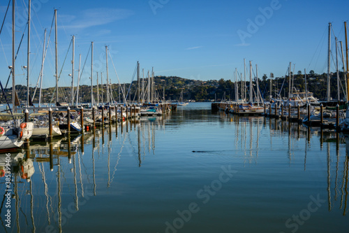 Sea Lion Swims Among the Boats © kellyvandellen