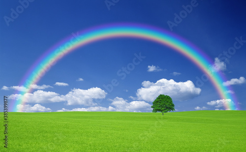 草原の一本木と雲と虹 © Paylessimages