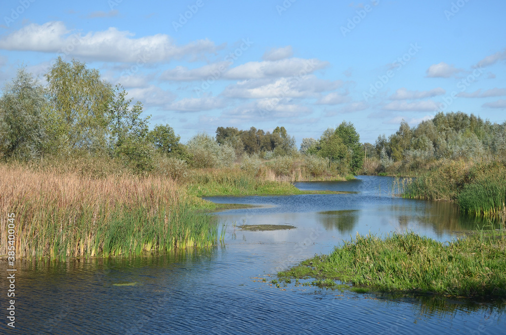Natural landscape in Kiev Region at autumn Natural landscape in Kiev Region at autumn