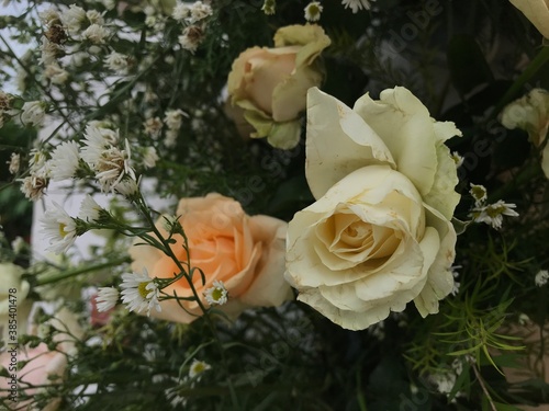 roses bouquet