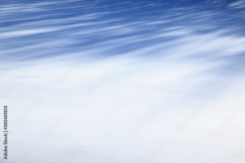 Obraz premium 雪原の影